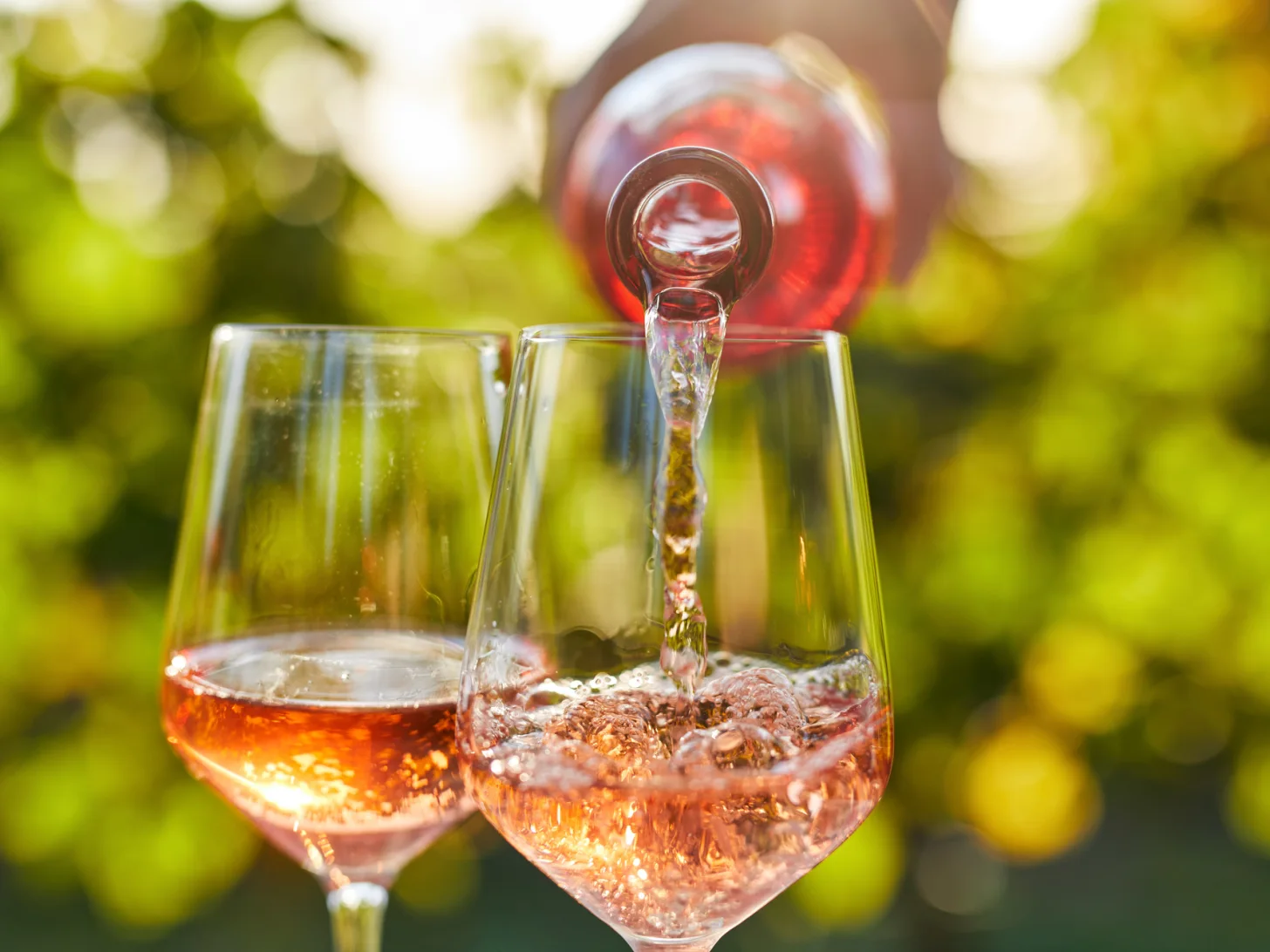 Dégustation de vin : un vin rosé est servi dans deux verres en plein air, devant le feuillage ensoleillé d’un vignoble