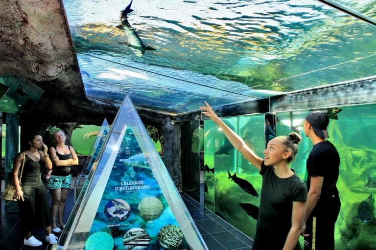 Aquarium du Périgord Noir au Bugue, activité familiale incontournable en Dordogne à découvrir pendant un séjour au Camping Las Patrasses.